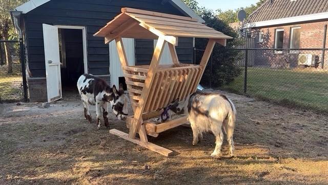 hooiruif mini voor minigeitje minischaap ed, Dieren en Toebehoren, Stalling en Weidegang