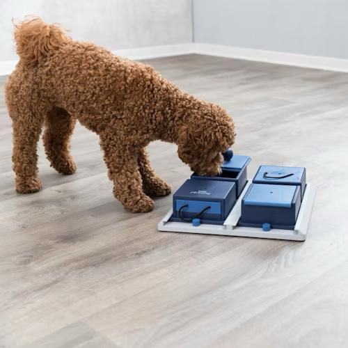 Trixie dog activity, Dieren en Toebehoren, Hondenspeelgoed, Zo goed als nieuw, Intelligentiespeelgoed, Ophalen of Verzenden