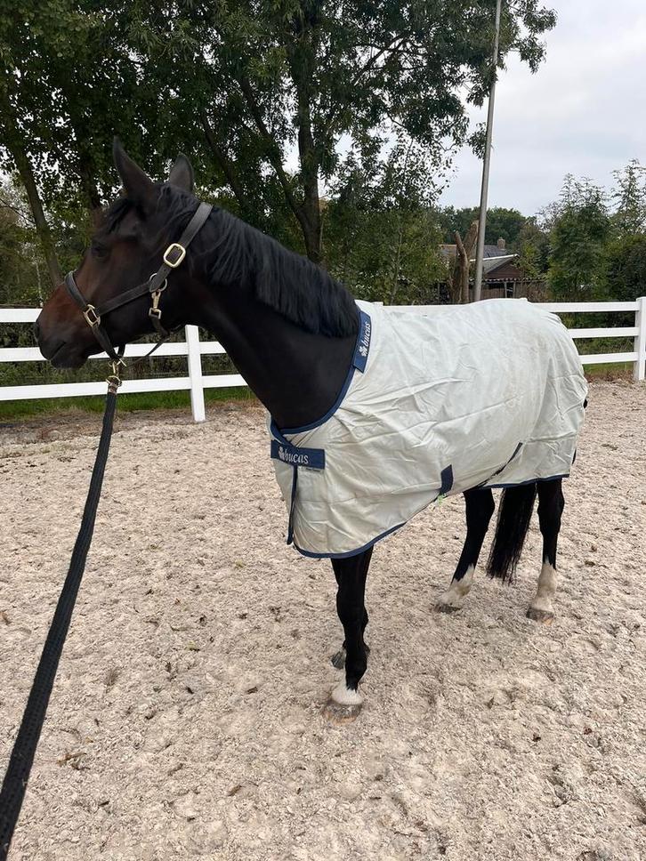 Bucas Power Turnout Extra, Dieren en Toebehoren, Paarden en Pony's | Dekens en Dekjes, Zo goed als nieuw, Deken, Ophalen of Verzenden
