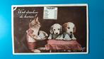 Kat Poes als serveerster voor honden verkleed 1931, Verzamelen, Ansichtkaarten | Dieren, Ophalen of Verzenden, 1920 tot 1940, Gelopen