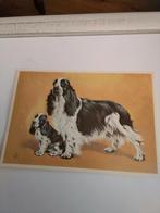 K9 VAN DEN BROECKE.    'N TROTSE MOEDER, Ophalen of Verzenden, 1960 tot 1980, Hond of Kat