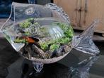 Viskom incl 2 vissen, Dieren en Toebehoren, Vissen | Aquaria en Toebehoren, Ophalen