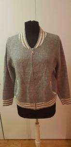 Grijs Golden Days Paris vest - maat M ***zgan***, Ophalen of Verzenden, Zo goed als nieuw, Maat 38/40 (M), Grijs