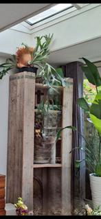 Steigerhouten kast, Huis en Inrichting, Woonaccessoires | Zuilen en Pilaren, Ophalen, Gebruikt