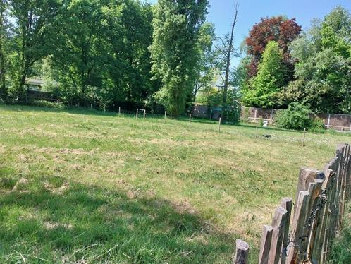 weide / weiland voor pony's, Dieren en Toebehoren, Stalling en Weidegang