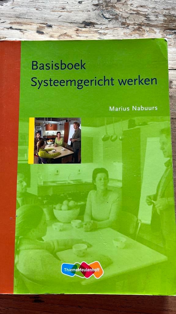 M. Nabuurs - Basisboek systeemgericht werken, Ophalen of Verzenden, Zo goed als nieuw, M. Nabuurs