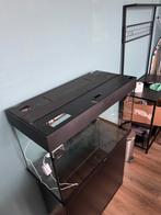 juwel rio 125, Ophalen of Verzenden, Zo goed als nieuw, Leeg aquarium