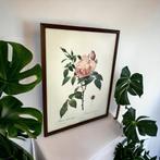 Vintage wanddecoratie natuur / bloem / roos, Ophalen