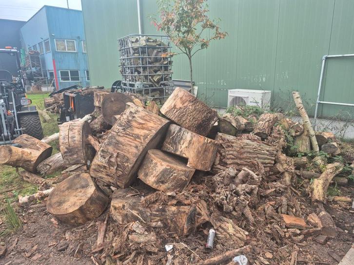 Grote hoeveelheid openhaardhout - 15 kuub, Tuin en Terras, Haardhout, Blokken, Overige houtsoorten, 6 m³ of meer, Ophalen of Verzenden