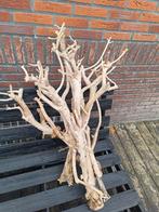 Takken bos, Huis en Inrichting, Woonaccessoires | Droogbloemen, Ophalen, Zo goed als nieuw
