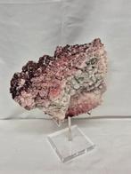 Roze Haliet, Verzenden