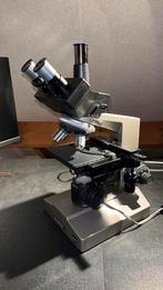 Olympus trinoculaire CH microscoop, Ophalen of Verzenden, Gebruikt