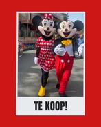 Mickey & Minnie Mouse Kostuums - Zo goed als nieuw!, Carnaval, Maat 42/44 (L), Ophalen of Verzenden, Zo goed als nieuw