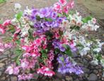 PRACHTIGE FUCHSIA KUNST TAK (BELLENPLANT), Ophalen of Verzenden, Nieuw