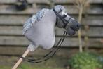 Hobbyhorse met hoofdstel, vachtkleur: Blue Roan // stokpaard, Hobby en Vrije tijd, Overige Hobby en Vrije tijd, Nieuw, Hobbyhorse