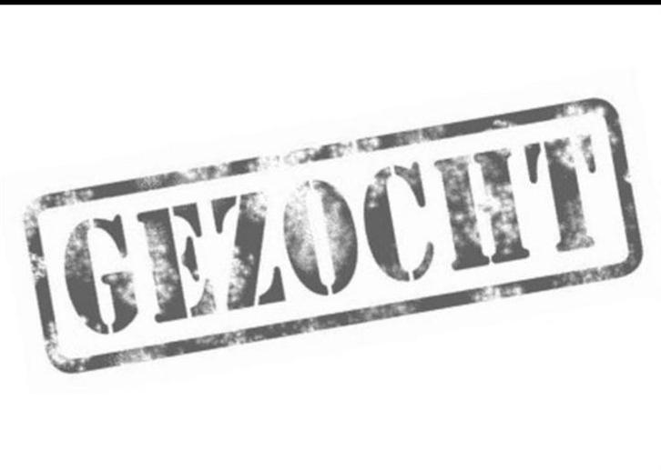 Zzp koerier beschikbaar. Meerdere wagens., Vacatures, Vacatures | Chauffeurs, Vanaf 10 jaar, Overige vormen, 33 - 40 uur