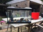 Aquarium, Dieren en Toebehoren, Vissen | Aquaria en Toebehoren, Ophalen of Verzenden, Zo goed als nieuw, Verlichting of Verwarming