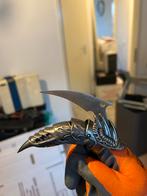 Kauwklauw met mes - Decoratief en uniek, Ophalen of Verzenden, Gebruikt