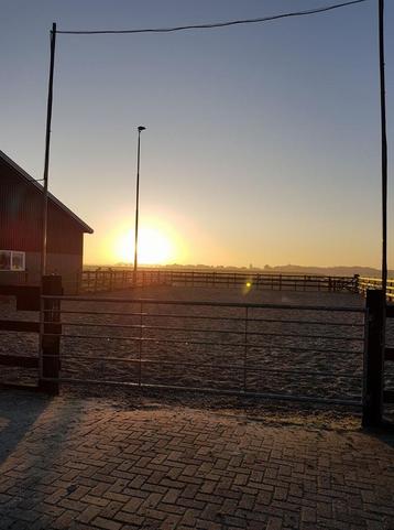 Pension stalling T&H stables Tjalhuizum heeft een box vrij ! beschikbaar voor biedingen