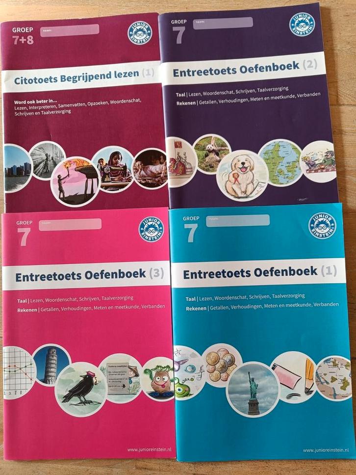Entreetoets oefenboeken, deel 1,2, 3. Citotoets begr.lezen, Boeken, Schoolboeken, Ophalen of Verzenden