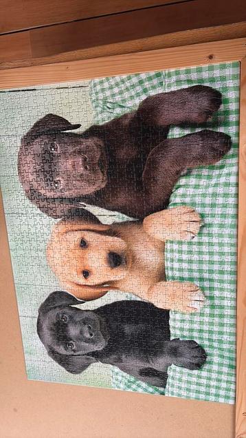 Puzzel hondje puppy High Quality Collection 1000 stukjes beschikbaar voor biedingen