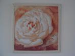 Nieuw groot schilderij - reproductie - bloem roos 77 x 77 cm, Nieuw, 75 tot 100 cm, Schilderij, Ophalen