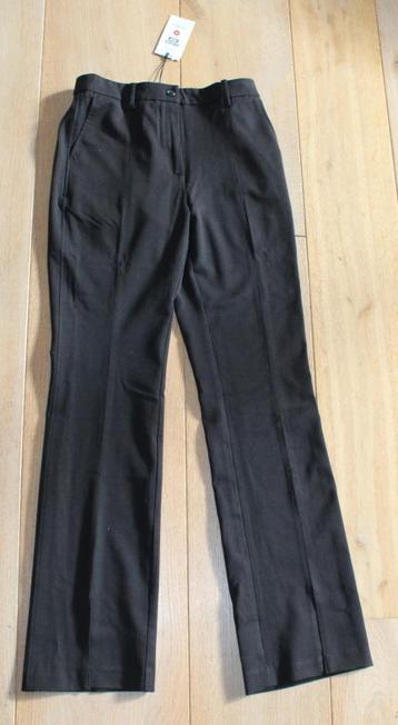 Nette broek van America Today 170/176 beschikbaar voor biedingen