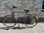 Te koop: gazelle herenfiets, Ophalen, Gebruikt, Versnellingen, 57 tot 61 cm
