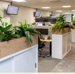 Langwerpige plantenbakken, Tuin en Terras, Ophalen, Nieuw, Minder dan 60 cm