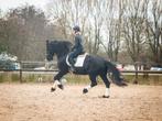 Prachtige Friese merrie!, Dieren en Toebehoren, Paarden, Merrie, Gechipt, Dressuurpaard, L
