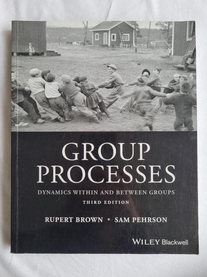 Group Processes - Rupert Brown & Sam Pehrson, Boeken, Studieboeken en Cursussen, Zo goed als nieuw, HBO, Alpha, Ophalen of Verzenden