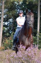 Bijrijder voor mijn paard gezocht., Dieren en Toebehoren, Ophalen, Nieuw