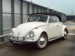 Volkswagen Kever Cabriolet 1500 (bj 1968), Cabriolet, Volkswagen, Wit, Bedrijf
