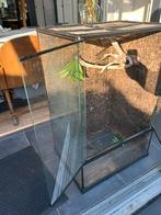Exoterra 90x60x45 terrarium, Dieren en Toebehoren, Ophalen, Zo goed als nieuw, Terrarium of Paludarium