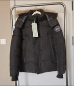 Canada goose maat m, Maat 48/50 (M), Zwart, Canada Goose, Nieuw