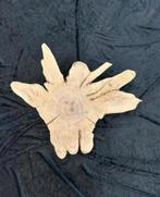 Boomstam salontafel blad, Ophalen of Verzenden, Zo goed als nieuw