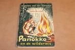 Panokko en de Wildernis — Suriname — Anne de Vries, Ophalen of Verzenden, Gelezen