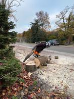 Boom kappen, snoeien, stronk frezen bomen rooien bomenkappen