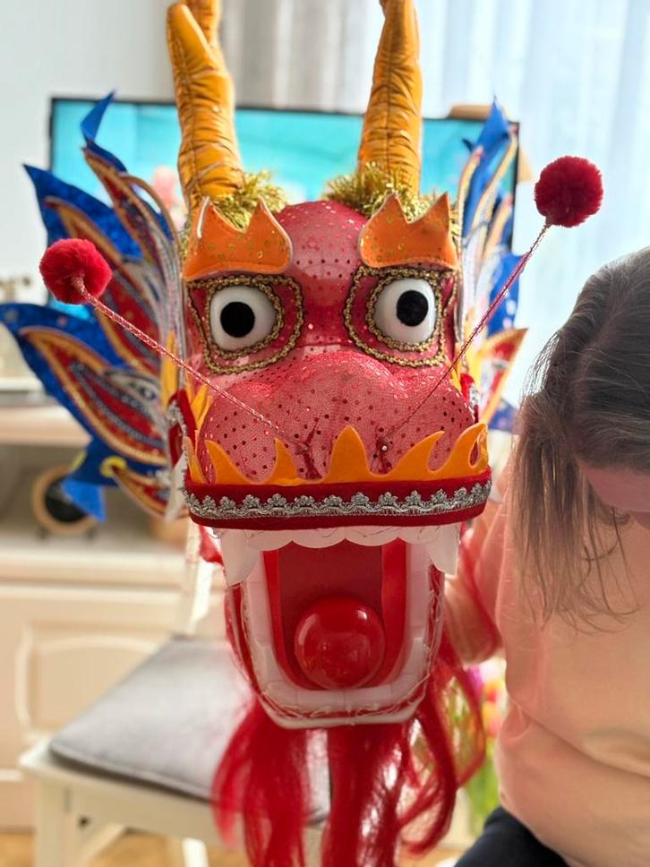 Verlichte draak, Kleding | Dames, Carnavalskleding en Feestkleding, Gedragen, Accessoires, Carnaval, Maat 42/44 (L), Ophalen