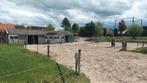 Aangeboden plek voor pony in 24/7 schuilstal/paddock/..., Dieren en Toebehoren