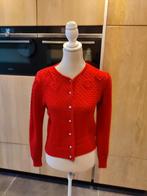 Salzburger kinder trachten vestje maat 38-40 Nieuwstaat, Maat 38/40 (M), Kindertrachten, Ophalen of Verzenden, Zo goed als nieuw