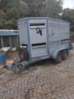 Gevraagd aluminium veetrailers, Dieren en Toebehoren, Ophalen of Verzenden