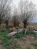 dikke wilgen of kachelhout te koop. Knotwilg, Ophalen, Lente, Overige soorten, 250 tot 400 cm
