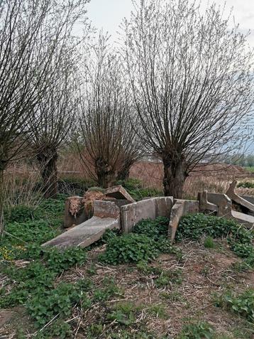 dikke wilgen of kachelhout te koop. Knotwilg beschikbaar voor biedingen