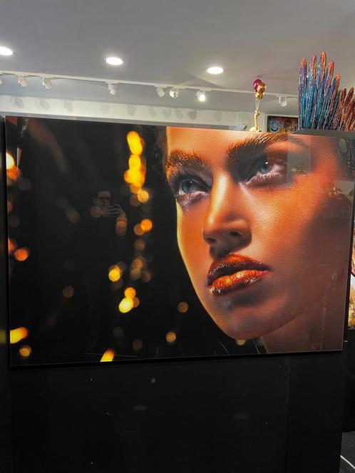 SALE!! Cobra art plexiglas schilderij 180x120 cm, Huis en Inrichting, Woonaccessoires | Schilderijen, Tekeningen en Foto's, Nieuw