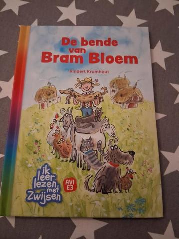boek de bende van bram bloem - avi E3 beschikbaar voor biedingen