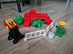 Lego Duplo 2662 Krokodil en zeehond, Ophalen of Verzenden, Gebruikt, Duplo