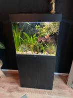 Juwel Lido incl. onderkast - 120L - 61x41x131cm, Dieren en Toebehoren, Vissen | Aquaria en Toebehoren, Ophalen, Gebruikt, Leeg aquarium