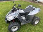 Quad E-ton Vector 250cc met kenteken en gordels, Ophalen, 250 cc, Gebruikt, E-ton
