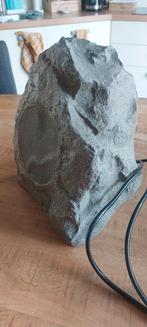 Paradigm Rock Monitor 60-SM Speaker, Overige merken, Gebruikt, Ophalen of Verzenden, 60 tot 120 watt